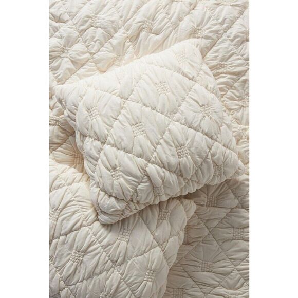 New Anthropologie Textured Landry 2 Standard Shams